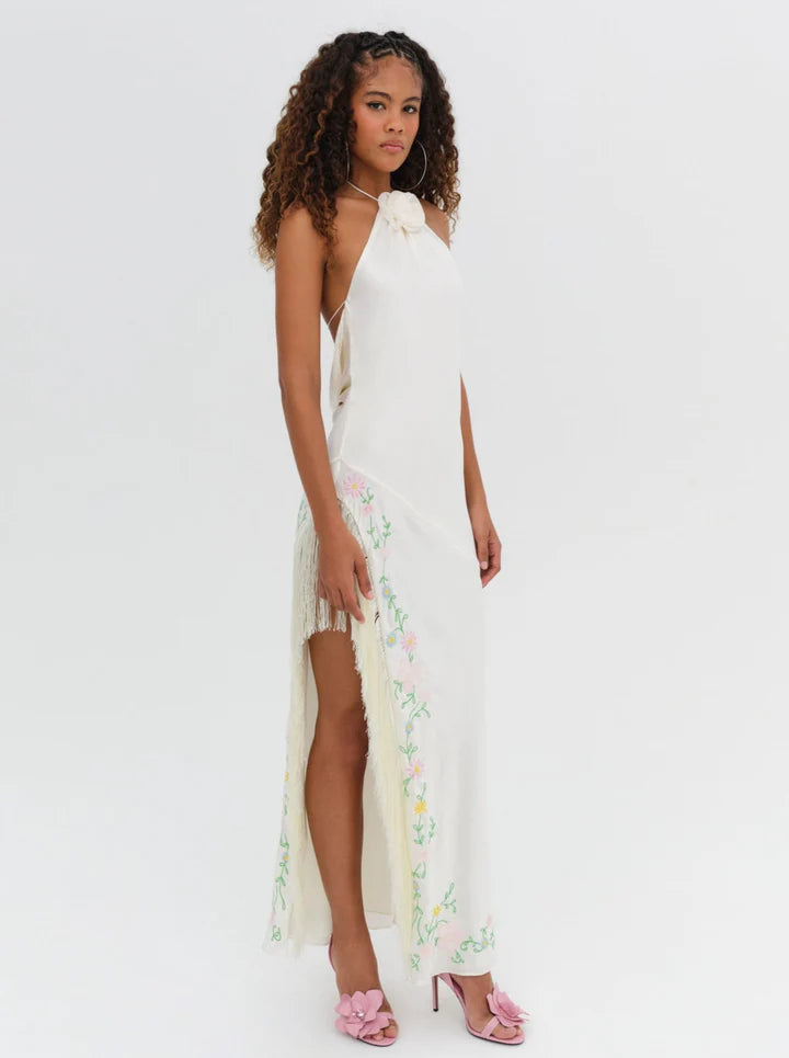 Tina Embroidered Maxi Dress